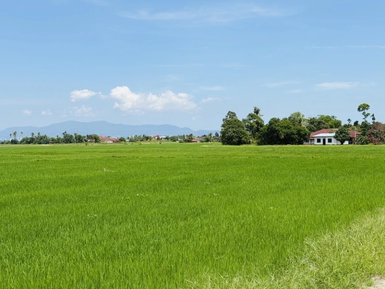 3,794 Sq Ft Freehold First Grade Land for Sale in Permatang Manggis, Kepala Batas - Photo 2