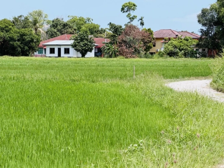 3,794 Sq Ft Freehold First Grade Land for Sale in Permatang Manggis, Kepala Batas - Photo 3