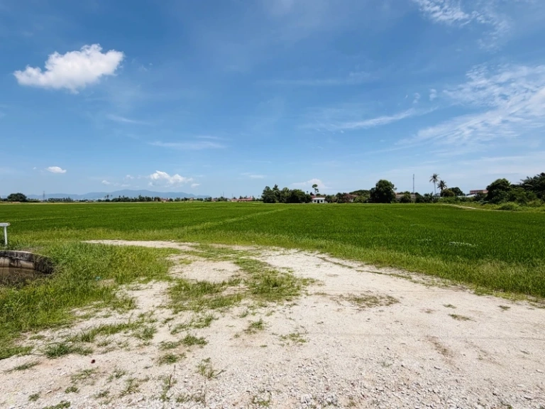 3,794 Sq Ft Freehold First Grade Land for Sale in Permatang Manggis, Kepala Batas - Photo 4