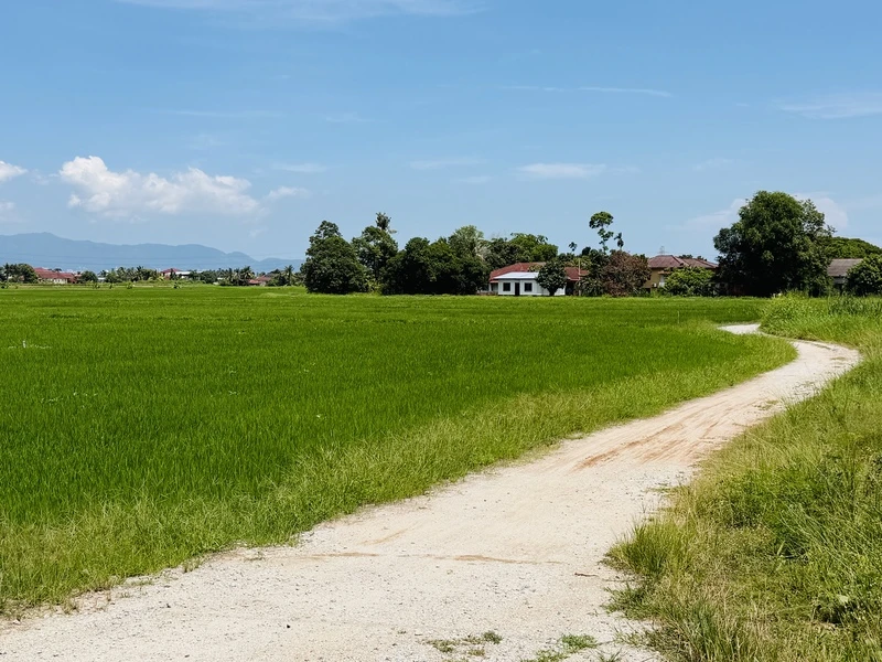 Lot Terakhir! Tanah First Grade Pegangan Bebas 3,794 Kps di Permatang Manggis, Kepala Batas