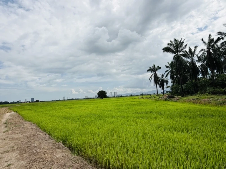 20,161 Sq Ft Freehold First Grade Land for Sale in Permatang Nibong, Penang