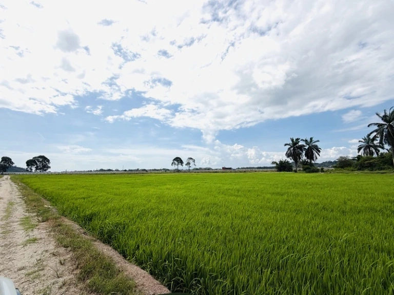20,161 Sq Ft Freehold First Grade Land for Sale in Permatang Nibong, Penang - Photo 4