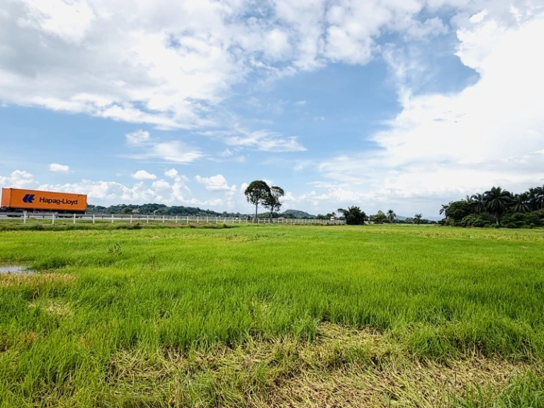 20,161 Sq Ft Freehold First Grade Land for Sale in Permatang Nibong, Penang - Photo 5