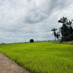 Tanah First Grade Pegangan Bebas 20,161 Kps Berhampiran BKE di Permatang Nibong, Pulau Pinang