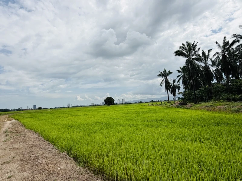 Tanah First Grade Pegangan Bebas 20,161 Kps Berhampiran BKE di Permatang Nibong, Pulau Pinang