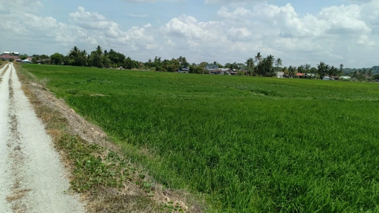 4,390 Sq Ft Freehold First Grade Land for Sale in Permatang Ara, Penang
