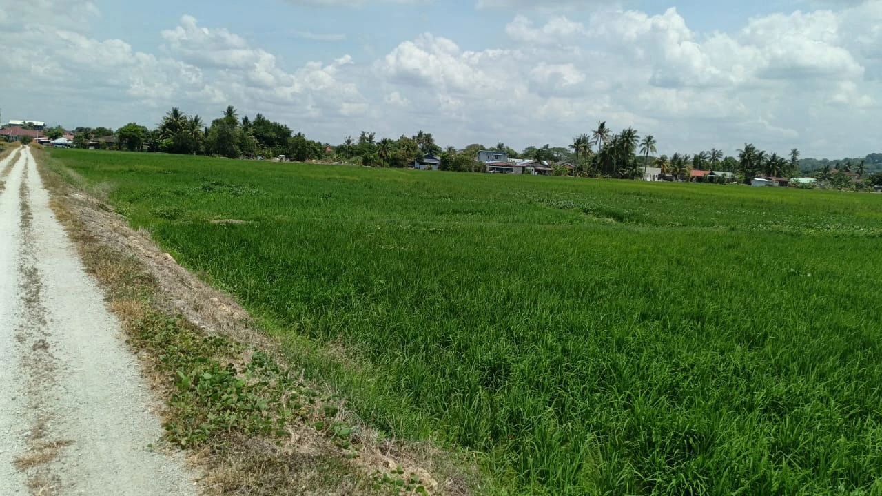 4,390 Sq Ft Freehold First Grade Land for Sale in Permatang Ara, Penang