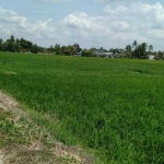 Plot Tanah First Grade Pegangan Bebas 4,390 Kps di Permatang Ara, Seberang Perai Tengah
