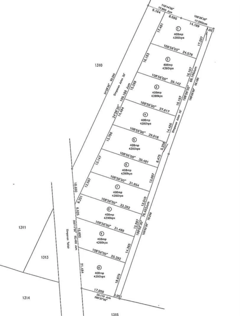 Plot Tanah First Grade Pegangan Bebas 4,390 Kps di Permatang Ara, Seberang Perai Tengah - Gambar 3