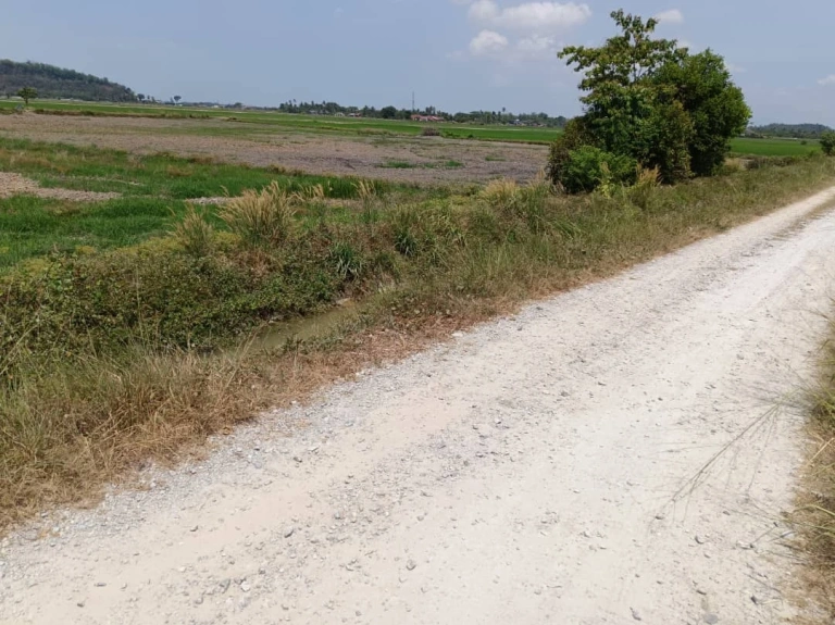 Tanah First Grade Pegangan Bebas 4,672 Kps Menghadap Lebuhraya BKE di Permatang Ara, Pulau Pinang - Gambar 2