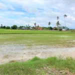 1.15-Acre Freehold Agriculture Land for Sale in Jalan Pasir Gebu, Penaga
