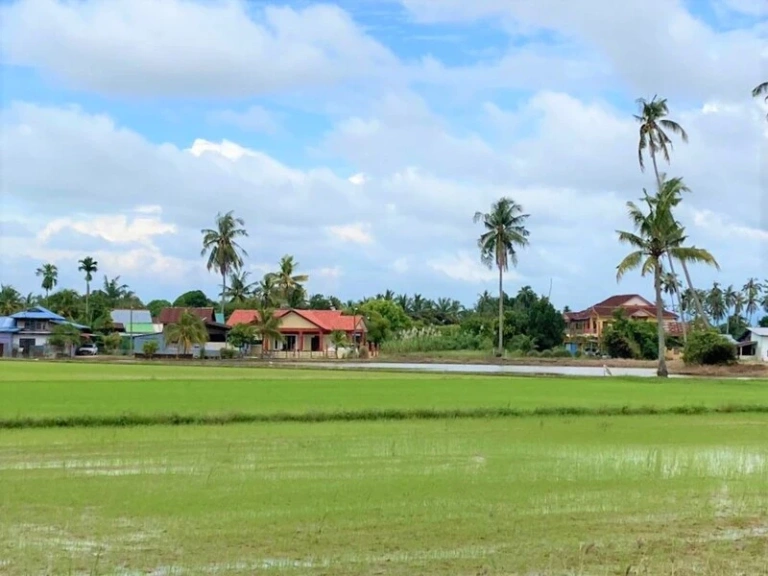 Tanah Pertanian First Grade Pegangan Bebas 1.15 Ekar di Jalan Pasir Gebu, Penaga - Gambar 5