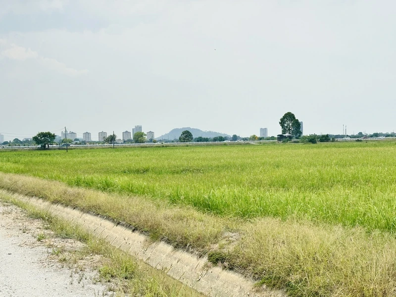 5,000 Sq Ft Freehold First Grade Land Near BKE in Permatang Ara, Penang