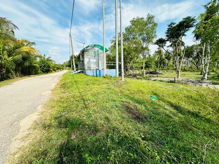 Tanah Pembangunan Bercampur Pegangan Bebas 9.68 Ekar untuk Dijual di Penaga, Pulau Pinang - Gambar 4