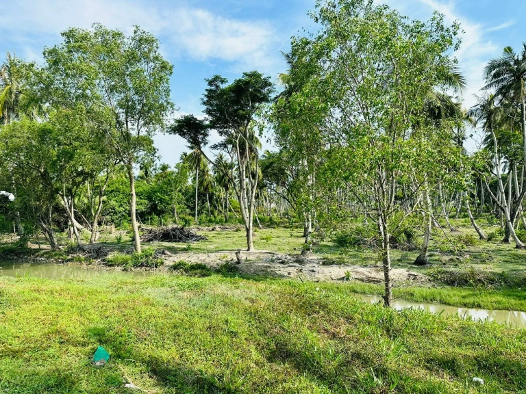 Tanah Pembangunan Bercampur Pegangan Bebas 9.68 Ekar untuk Dijual di Penaga, Pulau Pinang - Gambar 6