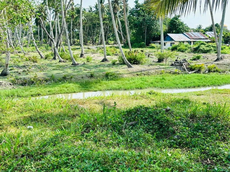 Tanah Pembangunan Bercampur Pegangan Bebas 9.68 Ekar untuk Dijual di Penaga, Pulau Pinang - Gambar 7