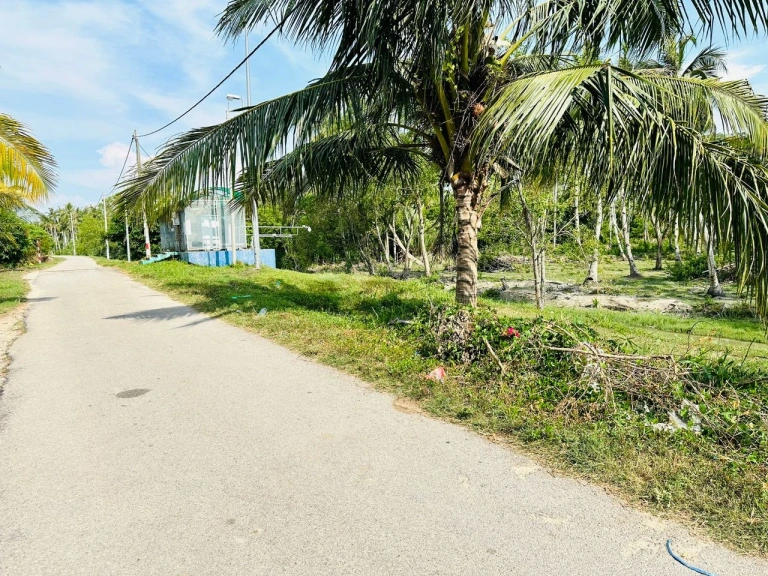 9.68-Acre Prime Freehold Mixed-Use Land for Sale in Penaga, Penang - Photo 2