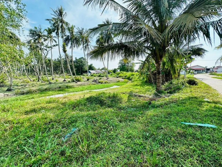 9.68-Acre Prime Freehold Mixed-Use Land for Sale in Penaga, Penang - Photo 5