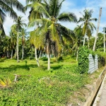 2-Acre Freehold Residential Land for Sale in Taman Desa Kuala Muda, Penaga