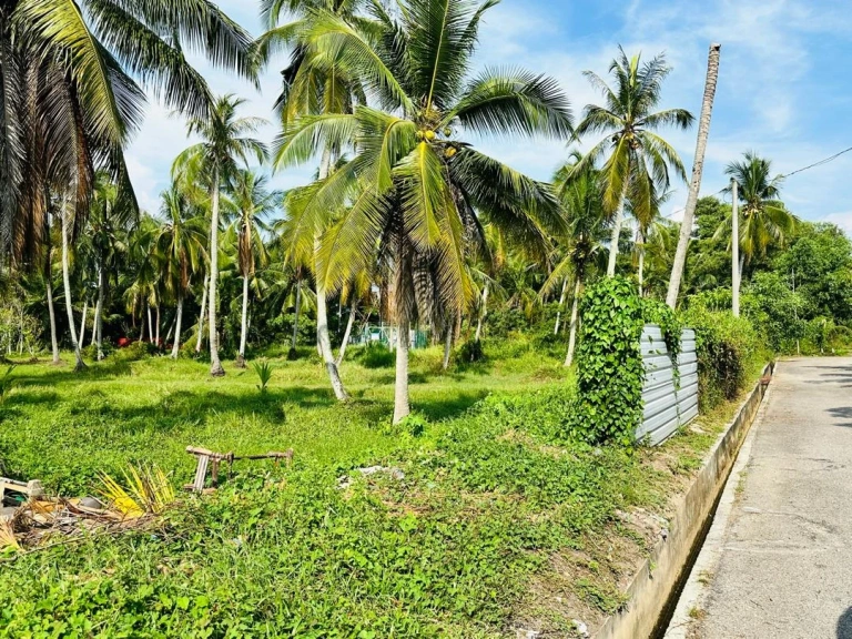 2-Acre Freehold Residential Land for Sale in Taman Desa Kuala Muda, Penaga