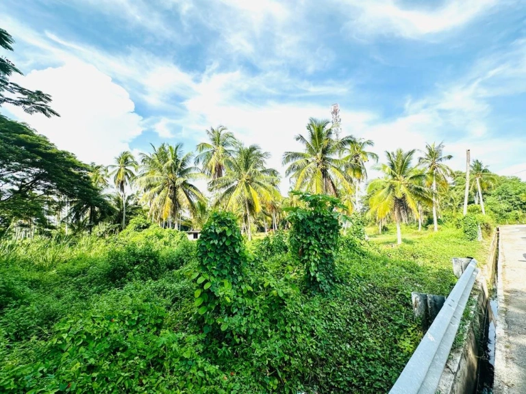 2-Acre Freehold Residential Land for Sale in Taman Desa Kuala Muda, Penaga - Photo 2