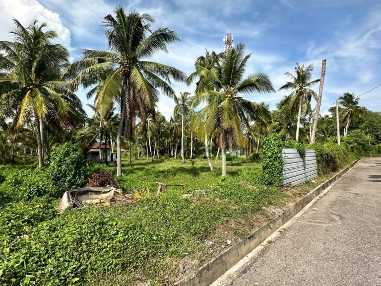2-Acre Freehold Residential Land for Sale in Taman Desa Kuala Muda, Penaga - Photo 3