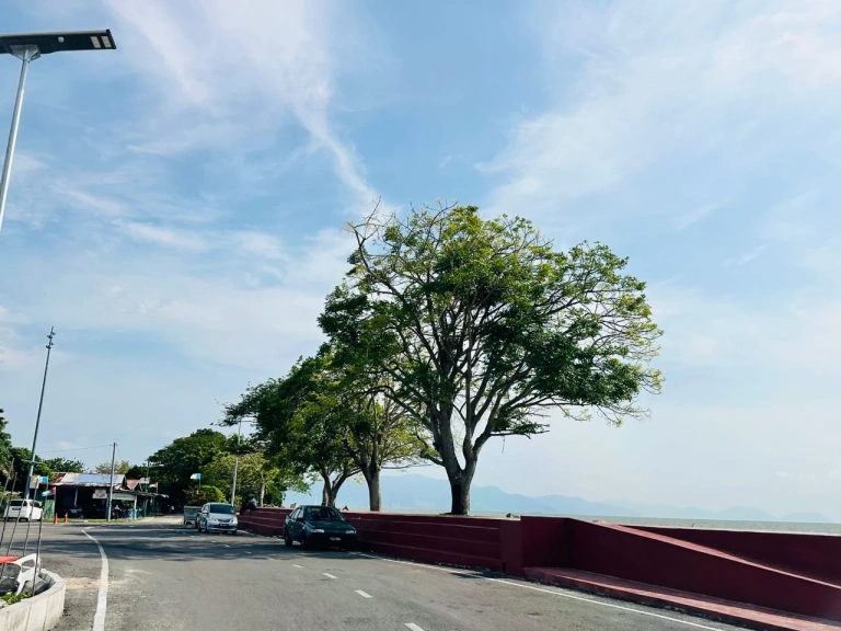 2-Acre Freehold Residential Land for Sale in Taman Desa Kuala Muda, Penaga - Photo 5