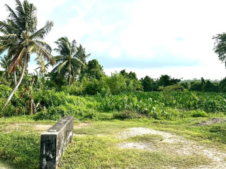 1.08-Acre Freehold Riverside Kampung Land for Sale in Ayer Itam, SPU - Photo 2