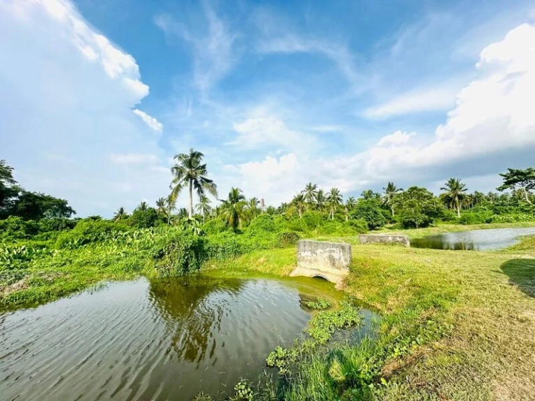 1.08-Acre Freehold Riverside Kampung Land for Sale in Ayer Itam, SPU - Photo 6