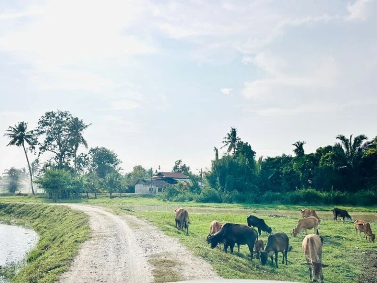 Tanah Kampung Tepi Sungai Pegangan Bebas 1.08 Ekar untuk Dijual di Ayer Itam, SPU - Gambar 1