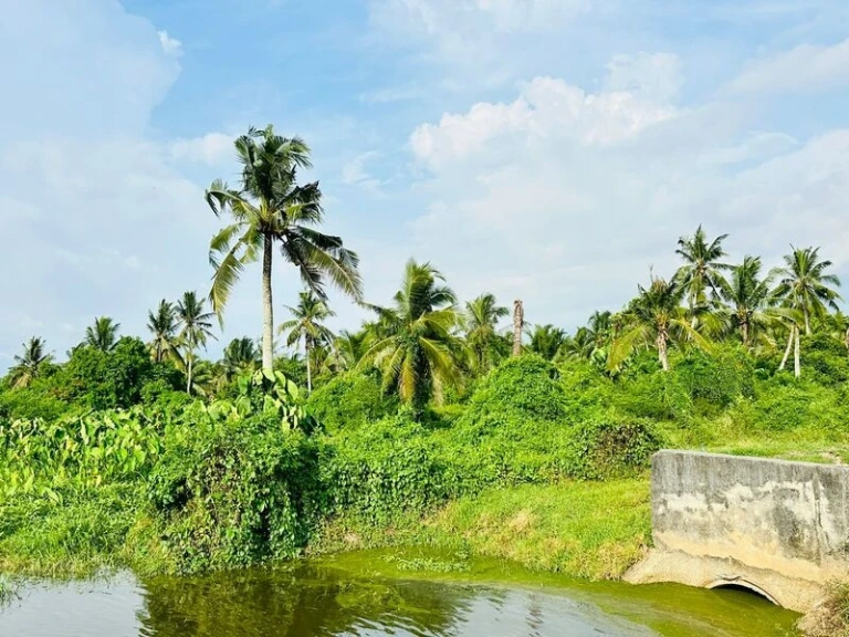 Tanah Kampung Tepi Sungai Pegangan Bebas 1.08 Ekar untuk Dijual di Ayer Itam, SPU - Gambar 5