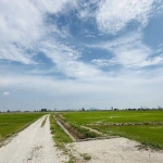 4,000 Sq Ft Freehold First Grade Land Near BKE in Permatang Ara, Penang