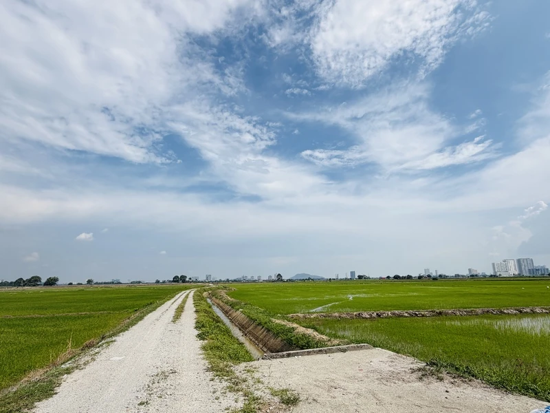 4,000 Sq Ft Freehold First Grade Land Near BKE in Permatang Ara, Penang