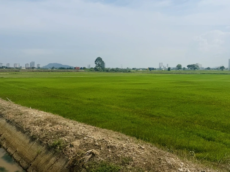 4,000 Sq Ft Freehold First Grade Land Near BKE in Permatang Ara, Penang - Photo 2
