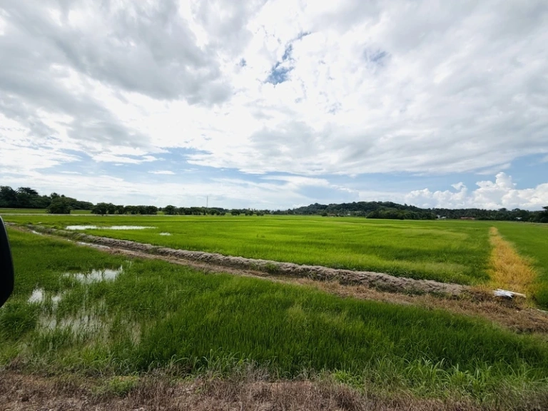 4,000 Sq Ft Freehold First Grade Land Near BKE in Permatang Ara, Penang - Photo 4
