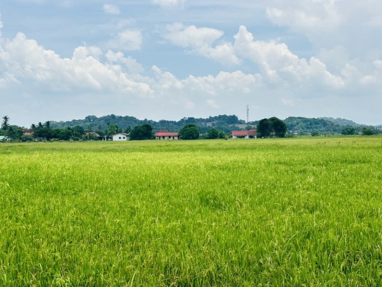 4,000 Sq Ft Freehold First Grade Land Near BKE in Permatang Ara, Penang - Photo 5