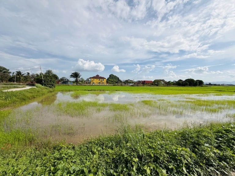 21,150 Sq Ft Freehold First Grade Land for Sale in Permatang Pauh, Penang - Photo 2
