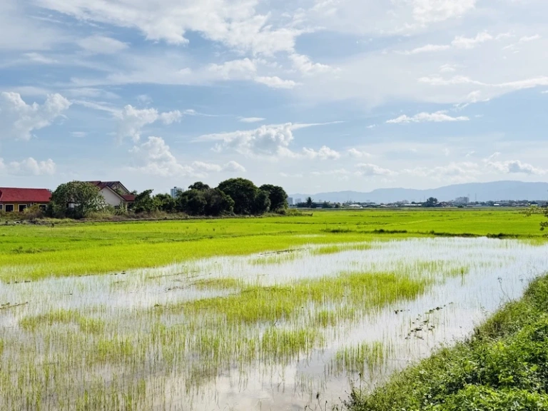 Tanah First Grade Pegangan Bebas 21,150 Kps untuk Dijual di Permatang Pauh, Pulau Pinang - Gambar 3
