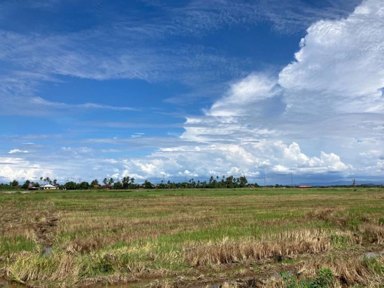 Freehold First Grade Land Plots for Sale in Pekan Darat, Penang