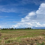 Plot Tanah First Grade Pegangan Bebas Mampu Milik di Pekan Darat, Pulau Pinang